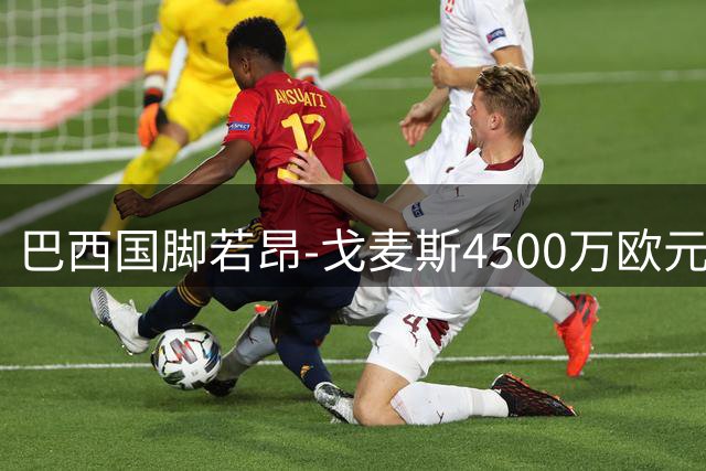 巴西国脚若昂-戈麦斯4500万欧元加盟阿斯顿维拉