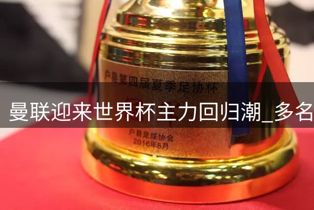 曼联迎来世界杯主力回归潮 多名国脚有望出战季前赛