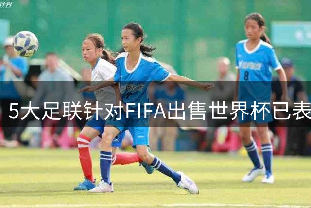 5大足联针对FIFA出售世界杯已表态 仅南美足联暂未发声